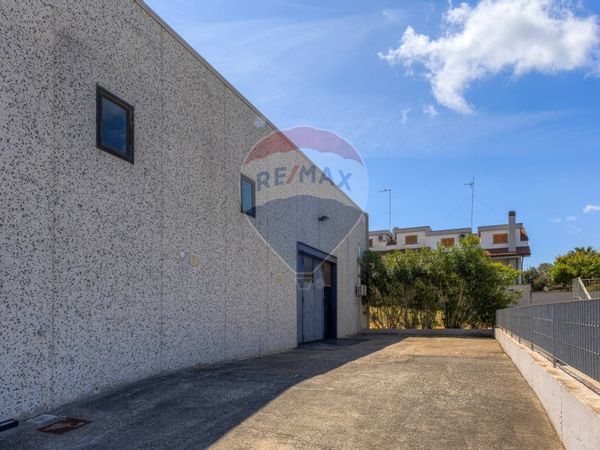 Capannone Industriale Ladispoli, RM Vendita - Foto 2