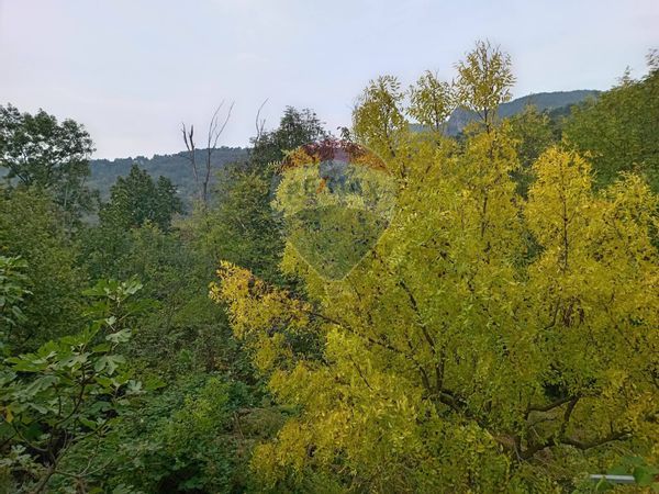 Terreno Cantalupa, TO Vendita - Foto 2