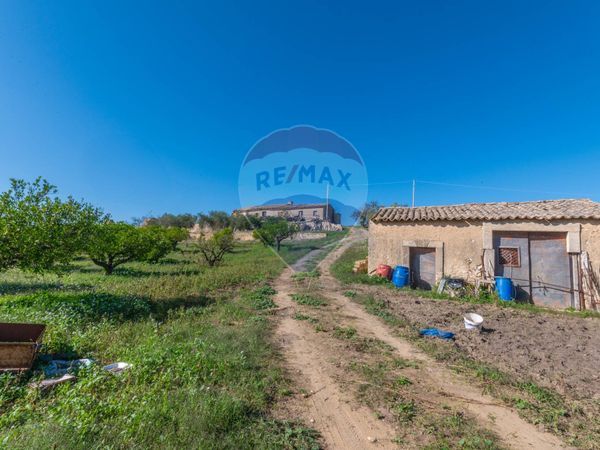 Cascina/Casale Grammichele, CT Vendita - Foto 2