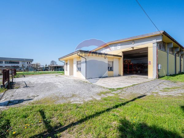 Altro Cogozzo, Viadana, MN Vendita - Foto 3