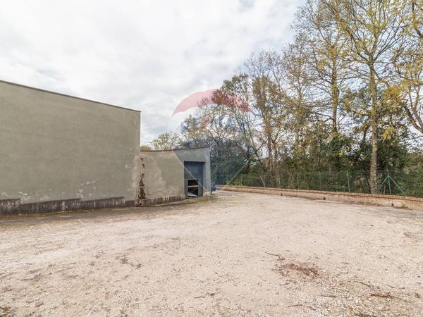 Capannone Industriale Castel Sant'Elia, VT Vendita - Foto 3