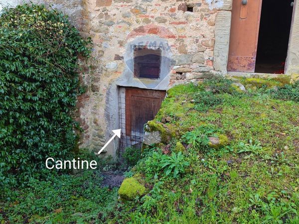 Cascina/Casale Massa dei Sabbioni, Cavriglia, AR Vendita - Foto 3