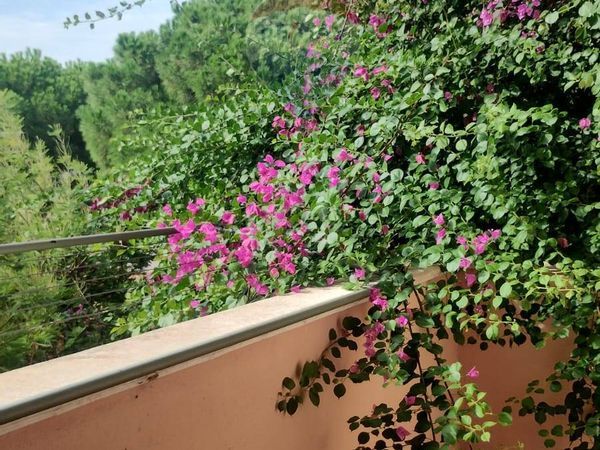 Casa Semindipendente Margherita di Savoia, BT Vendita - Foto 4