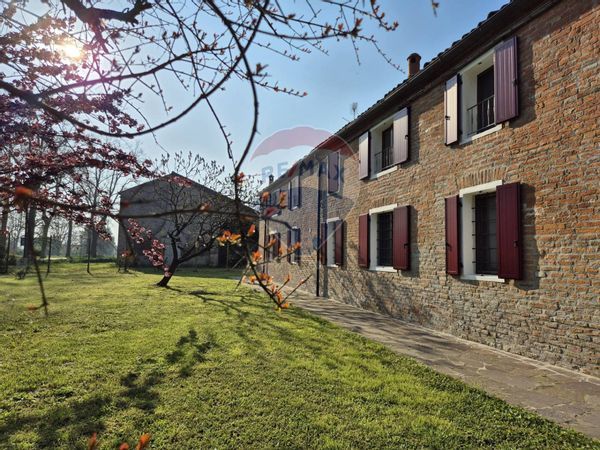 Attività  Commerciale Masi Torello, FE Vendita - Foto 2