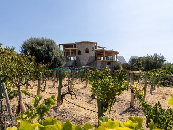 Nuove costruzioni Floridia, SR Vendita - Foto 3
