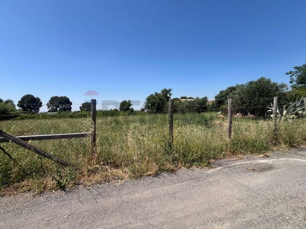 Terreno Edificabile Laghetto, Monte Compatri, RM Vendita - Foto 4