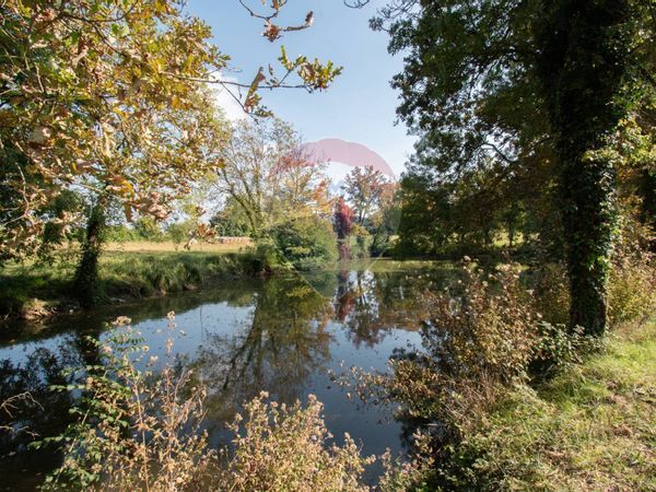 Cascina/Casale Solferino, MN Vendita - Foto 3