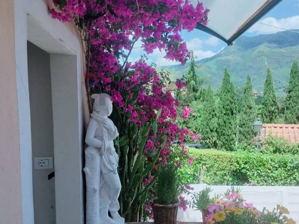 Casa Indipendente Camaiore, LU Vendita