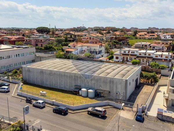Capannone Industriale Ladispoli, RM Vendita