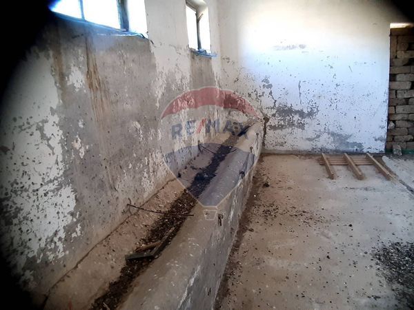 Cascina/Casale Campagna, Tarquinia, VT Vendita - Foto 4