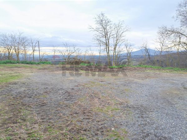 Capannone Industriale Celleno, VT Vendita - Foto 2