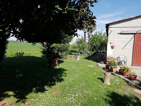 Cascina/Casale Lagosanto, FE Vendita - Foto 4