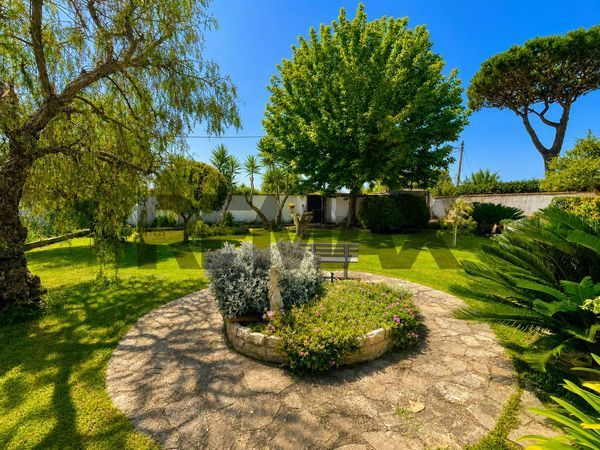 Villa singola Porto Badino, Terracina, LT Vendita - Foto 3
