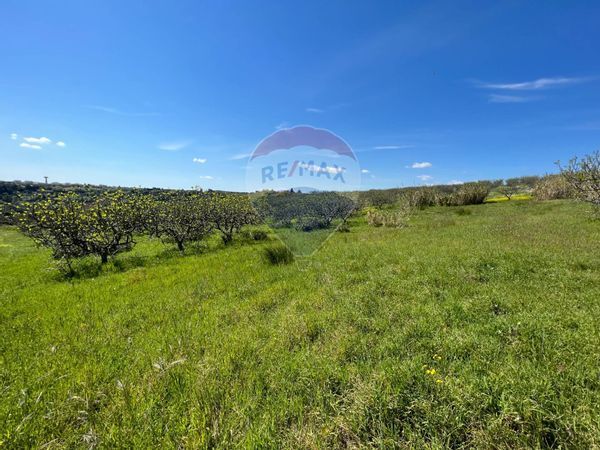 Terreno Pisticci, MT Vendita - Foto 3