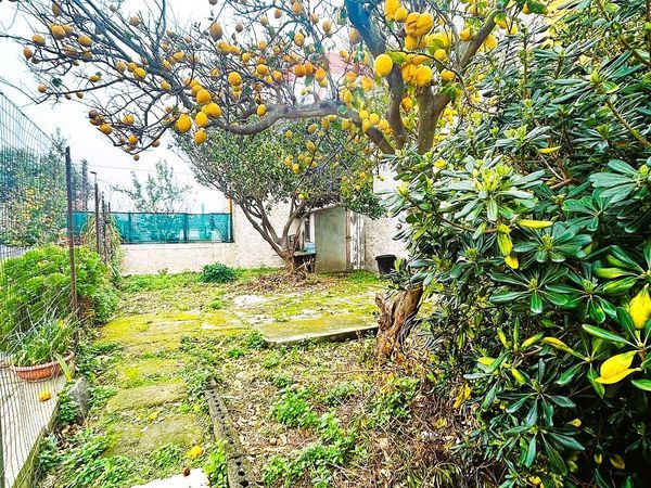 Appartamento Panza, Forio, NA Vendita