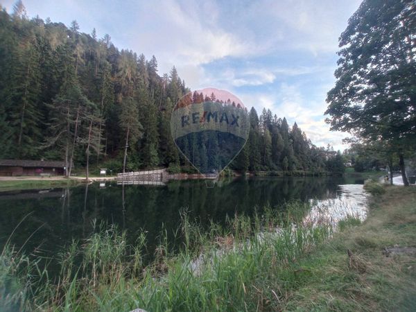 Appartamento Borgo d'Anaunia, TN Vendita