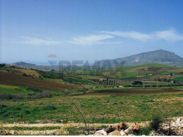 Terreno Calatafimi-Segesta, TP Vendita - Foto 2