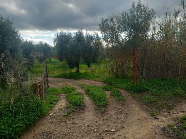 Terreno Dolianova, SU Vendita - Foto 3