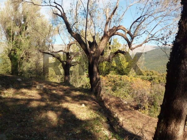 Terreno Marina di Camerota, Camerota, SA Vendita - Foto 4