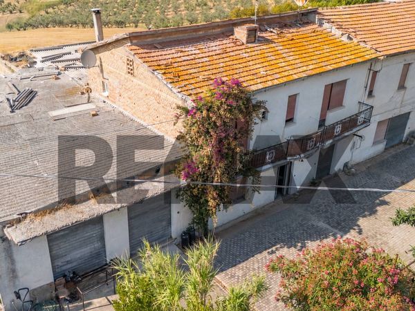 Cascina/Casale Cupello, CH Vendita - Foto 4