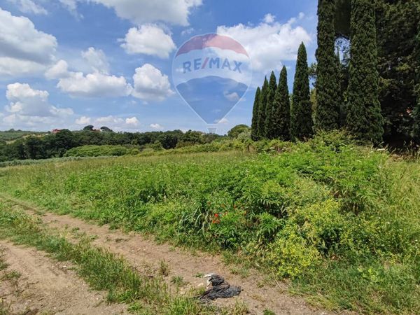 Terreno Edificabile Tor Lupara, Fonte Nuova, RM Vendita - Foto 2