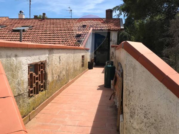 Casa Indipendente Rosignano Marittimo, LI Vendita - Foto 3