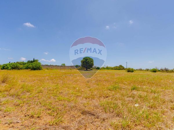 Terreno Edificabile Vernole, LE Vendita - Foto 4