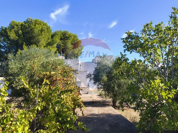 Casa Indipendente Polignano a Mare, BA Vendita - Foto 3