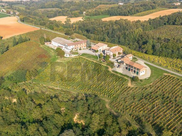 Azienda Agricola Rezzano, Carpaneto Piacentino, PC Vendita