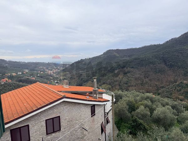 Villa singola Leivi, GE Vendita