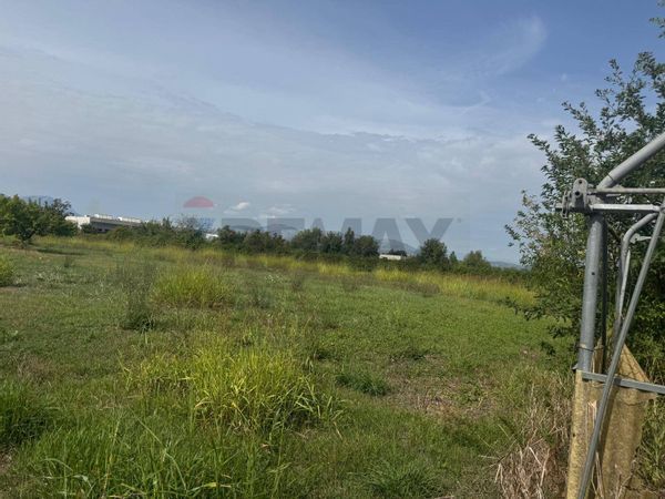 Terreno Cellole, CE Vendita - Foto 4
