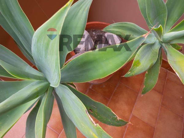 Appartamento Sant'Alessio Siculo, ME Vendita - Foto 3