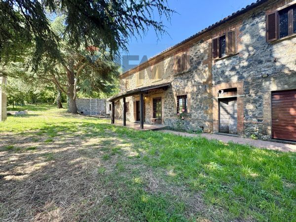 Cascina/Casale Casa Perazza, Castel Giorgio, TR Vendita - Foto 3