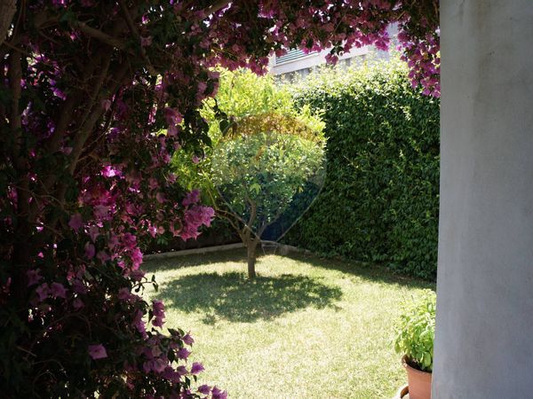 Villa a schiera Villa Claudia, Anzio, RM Vendita - Foto 3