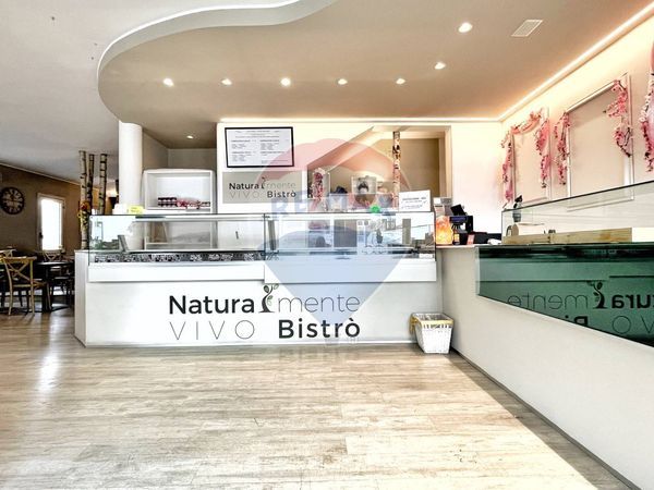 Bar Vigonza, Vigonza, PD Vendita - Foto 3