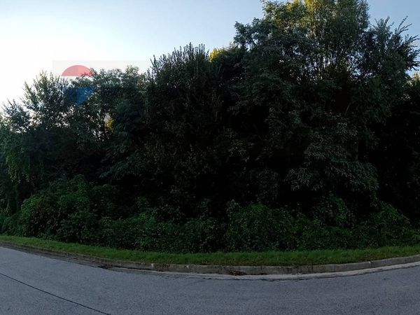Terreno Edificabile Piazzola sul Brenta, PD Vendita - Foto 2