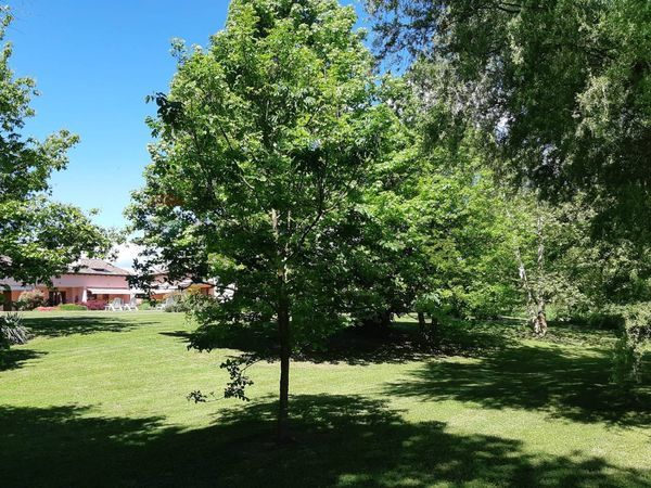 Villa o villino Castelletto sopra Ticino, NO Vendita - Foto 4