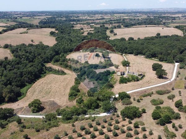 Cascina/Casale Formello, RM Vendita - Foto 2