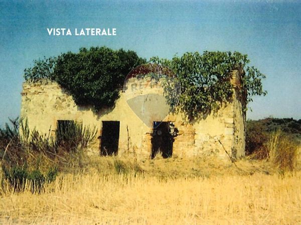 Rustico Grilli, Gavorrano, GR Vendita - Foto 2