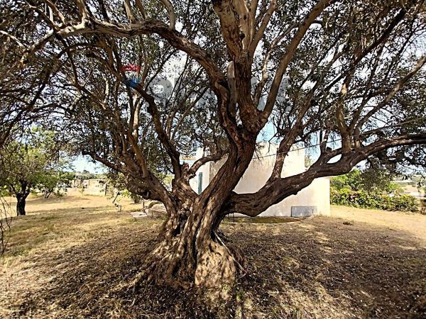 Villa o villino Periferia, Pozzallo, RG Vendita - Foto 3