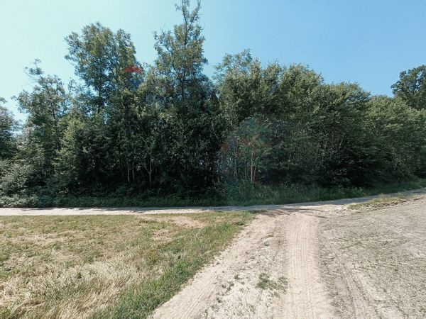 Terreno Frossasco, TO Vendita - Foto 4