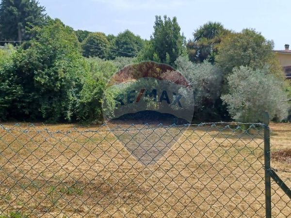 Terreno Edificabile Lariano, RM Vendita - Foto 4