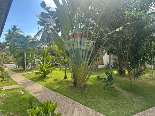 Casa Vacanze Panglao,  Vendita - Foto 3