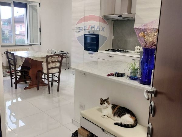 Appartamento Pavia, PV Vendita - Foto 4