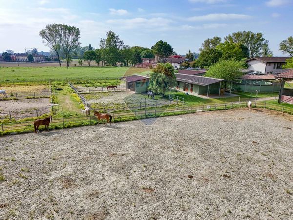 Azienda Agricola Caselle, Stagno Lombardo, CR Vendita - Foto 4