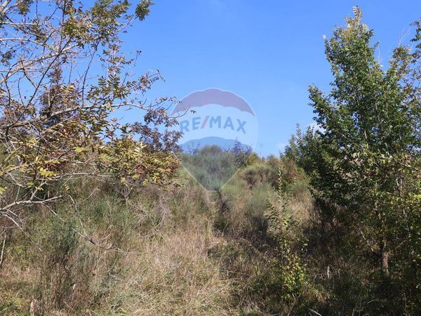 Terreno Chiesanuova, SM Vendita