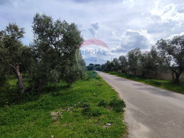 Capannone Industriale Bisceglie, BT Vendita - Foto 4