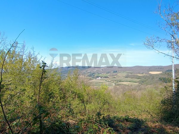 Terreno Borselli, Pelago, FI Vendita - Foto 4
