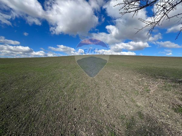 Terreno Tricarico, MT Vendita