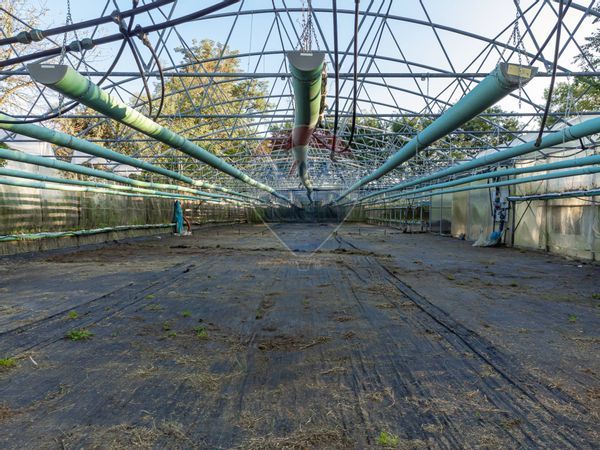 Azienda Agricola Cumiana, TO Vendita - Foto 4